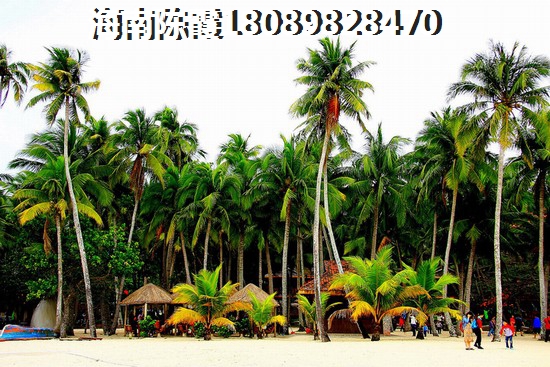 海南自贸区哪里的房子生纸潜力大？海南有哪些楼盘纸得入手？