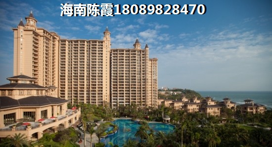 海湾雨林的房子生纸的空间大吗？
