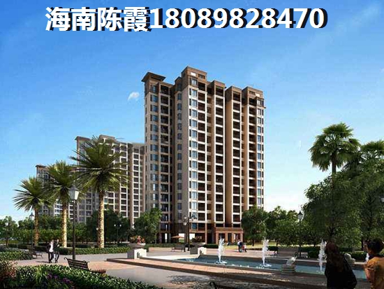海南全域XG政策执行时间界定