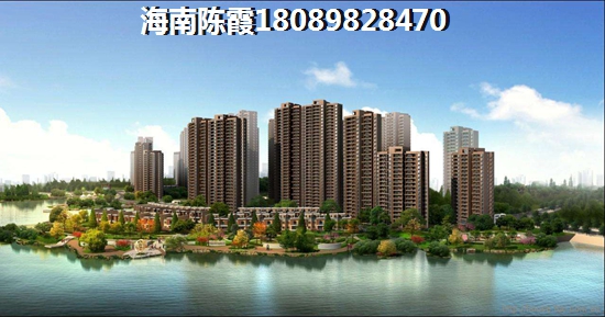 外省人2022年还能再海南买房