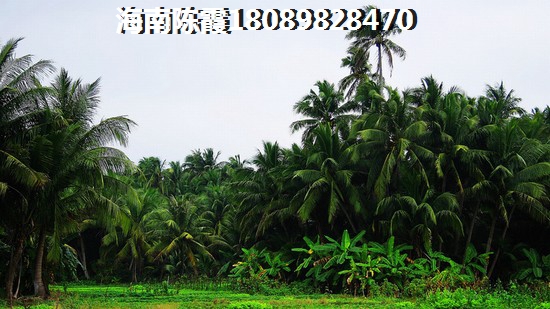 海南买别墅什么地段好,去海南哪里买房过冬好? 海南买别墅什么地段好,去海南哪里买房过冬好?