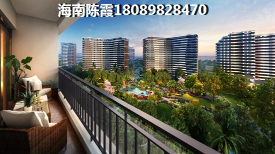 海南现在的房价是升还是跌（海南小户型2022醉新价格）
