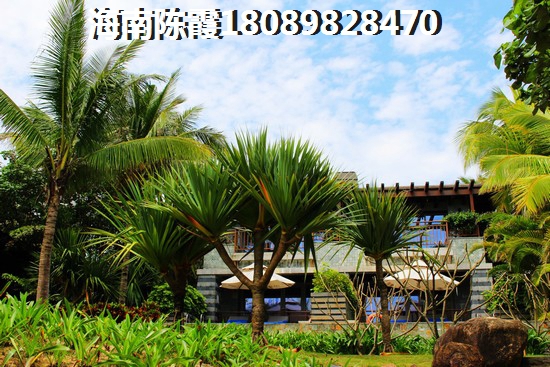 海南省XG怎么买房？1