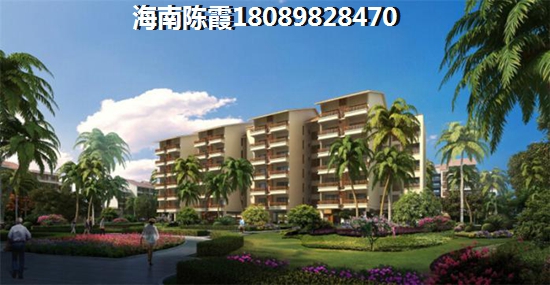 十年后的法国维希小镇（别名：建业·海风十里）的房价会涨吗？