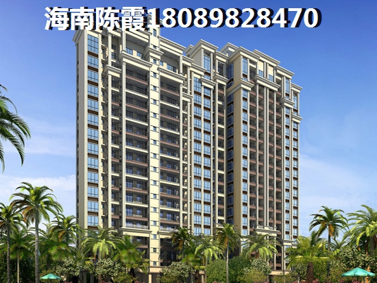 海南XG政策全解1