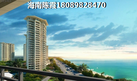 海南陵水黎安镇房子价格（海南省房价2023哪个楼盘的房价高）