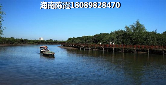 海南云龙湾醉新房价4