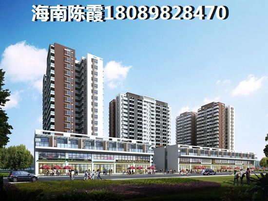海南在哪个地区买房子好（海南海景房住宅2023年交房）