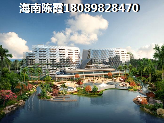 海南的气候环境
