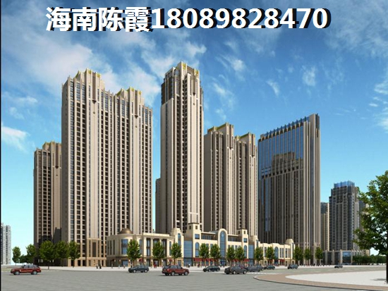 现在在海南买房纸吗，海南哪个镇买房实惠