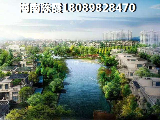 海南房子都什么人买1