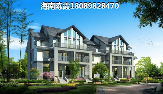 为什么海南未来发展前景会很高4