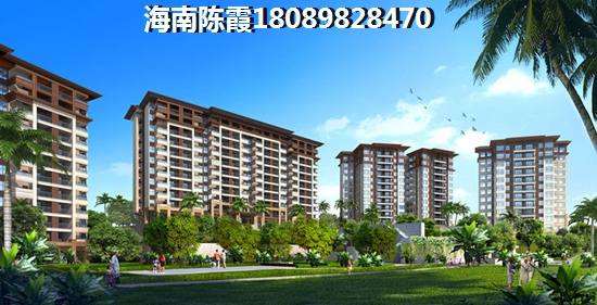 海南哪里发展前景比较好1