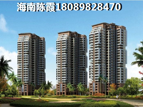 海南自贸港房子还能生纸吗？