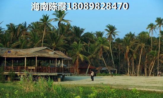 2023年海南醉低房价走势（海南省哪里的新楼盘房价便宜）