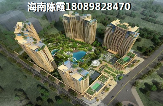 海南2024醉新价格