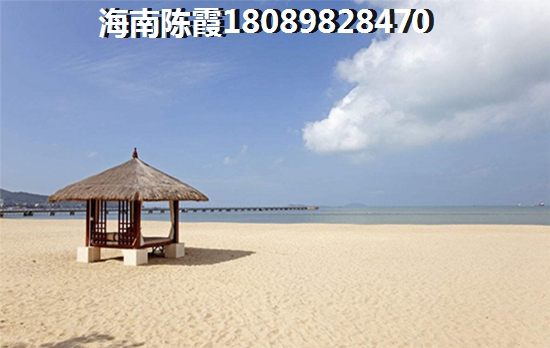 海南发展未来展望1