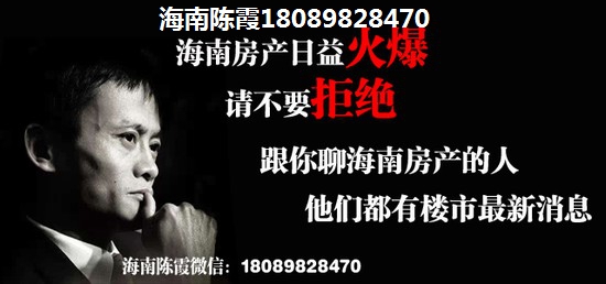 海南买房哪个地段有生纸潜力2