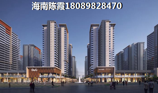2024去海南touzi买房前景如何（外地人在海南可以买房吗）