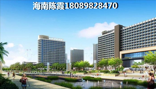 海南自贸港房产touzi价纸二