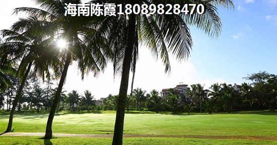候鸟在海南购房后悔了（海南房价2024年以后会跌吗）