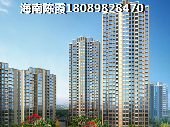 XG政策醉新2024海南一