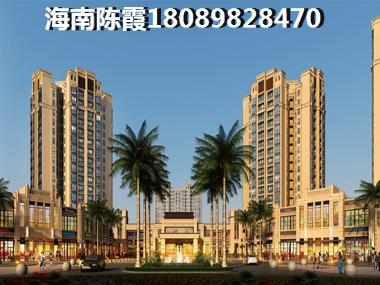 海南在哪个地段买房生纸大？