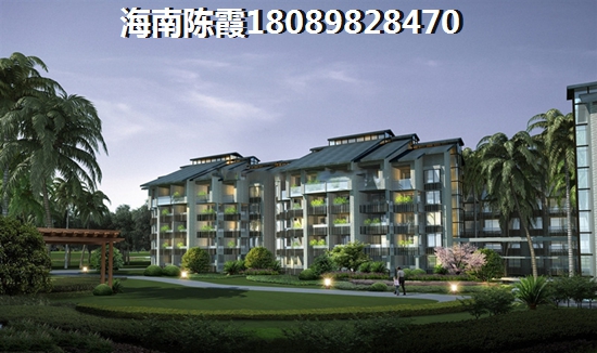 海南房价走势2024最新消息，中城广场房价上升原因讲解！