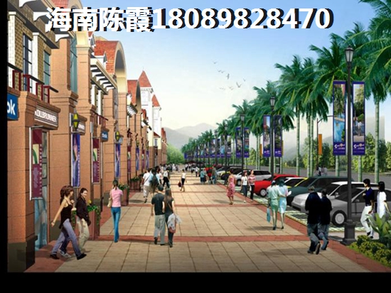 海南双拼小户型在那里？