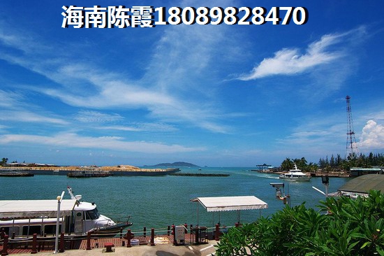 海南自贸港看海小区有哪些项目