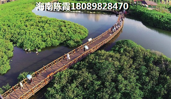 现在海南海口的房子还值不值得买？中国城五星公寓和中鼎·瓏璟买哪个合算？