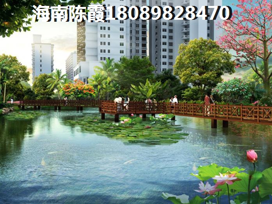 海南自贸港生活气候适应吗？