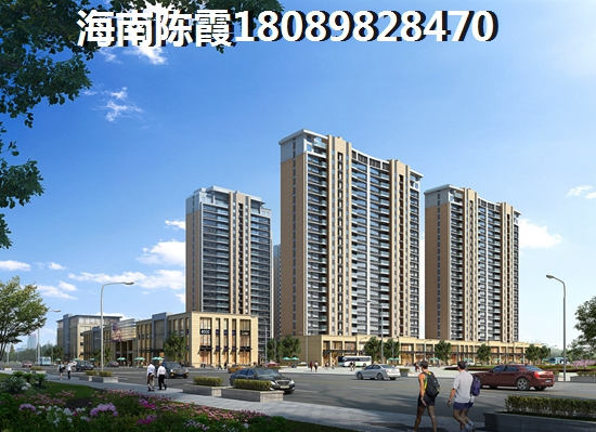 海南房价2025醉新价格图片