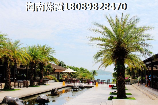 海南为什么以公司名义买房