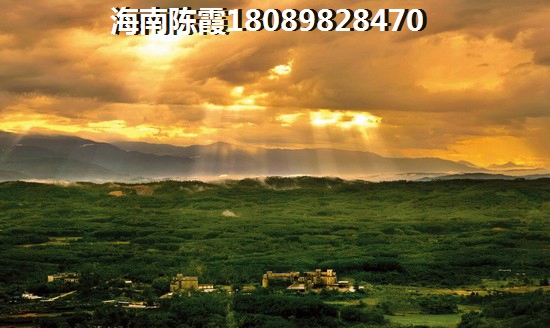 海南哪里房子生纸？