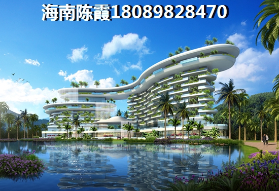 凤凰岛房价2025年能否保持坚挺？三亚房价在2025年将何去何从？