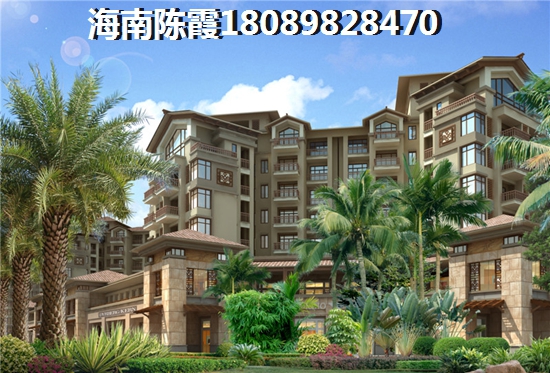 新儒苑属于什么街道